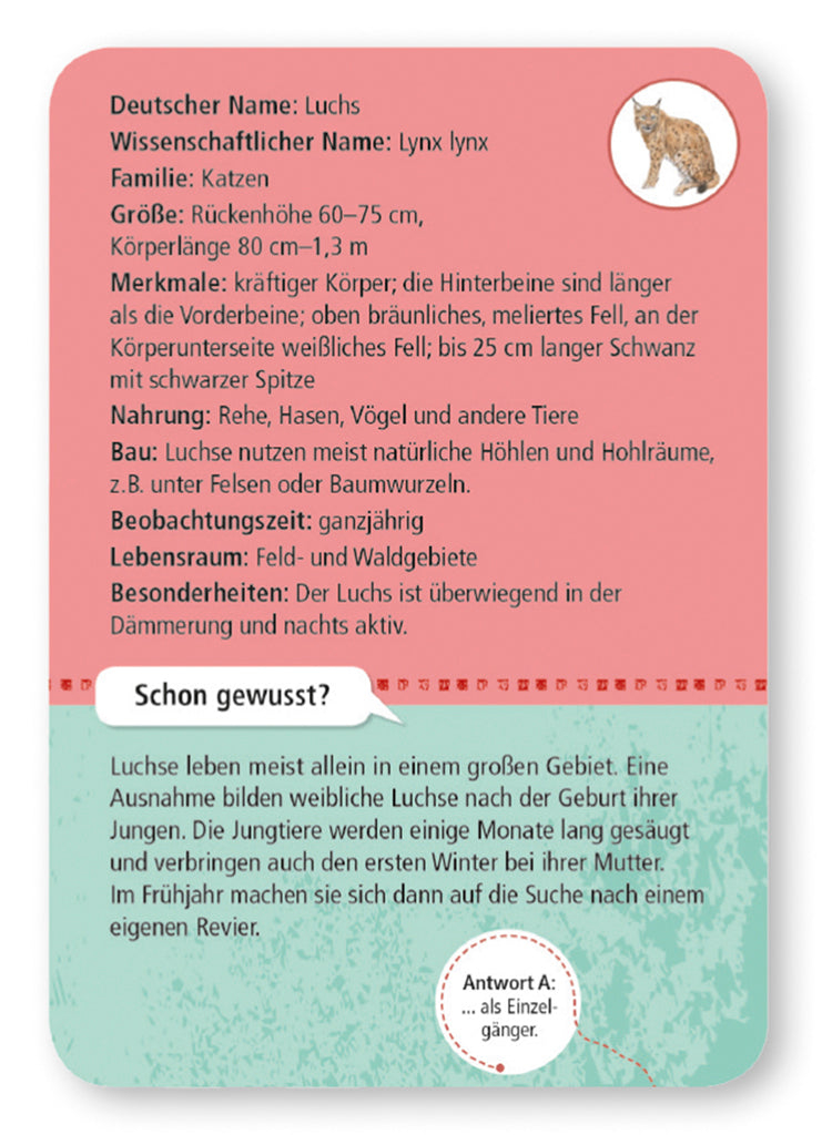 moses - 50 heimische Wald- & Wildtiere