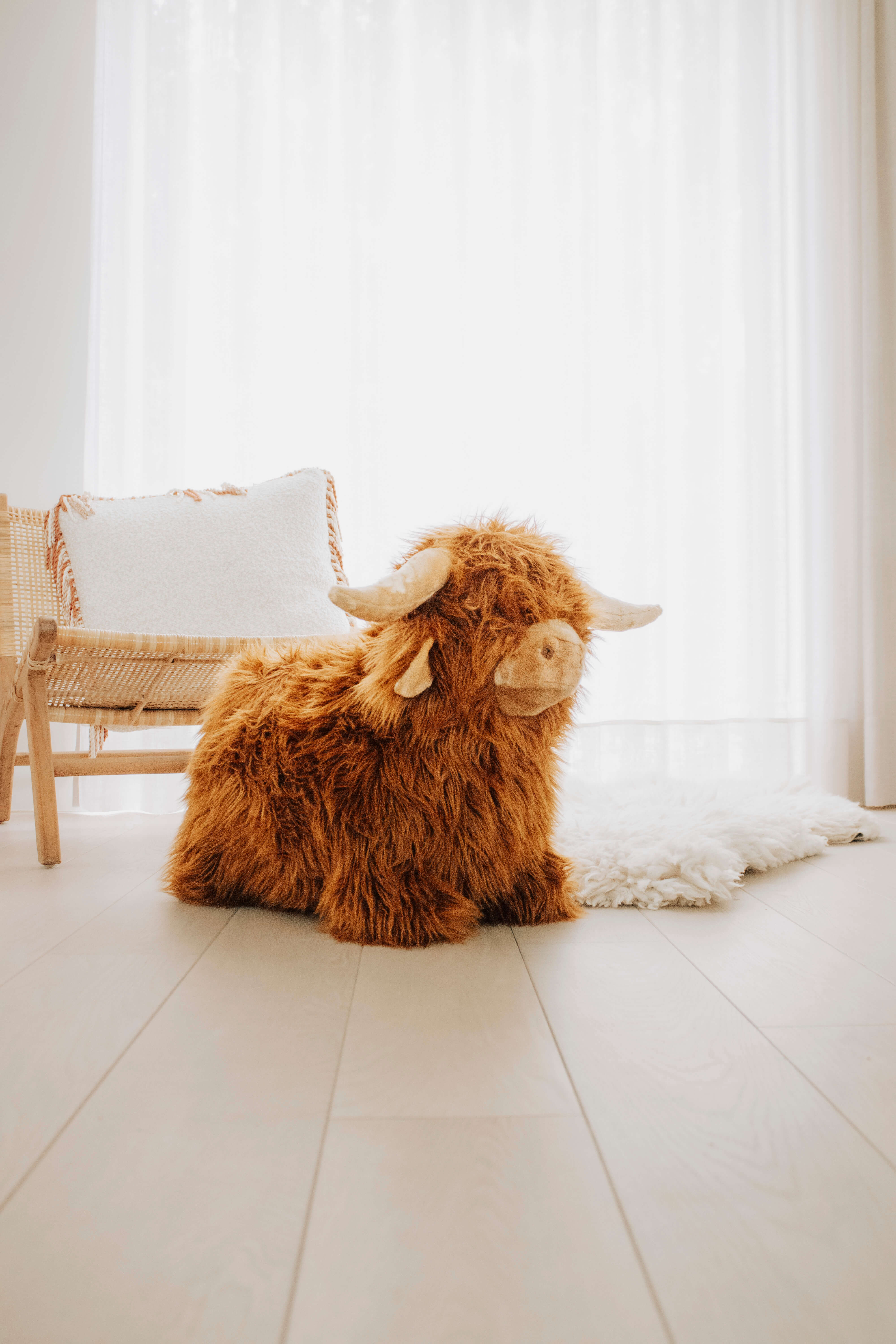 WILD & SOFT - Soft Bouncies Hochlandrind