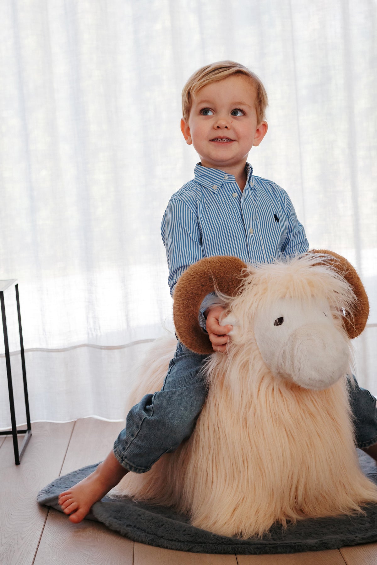 WILD & SOFT - Soft Bouncies Widder