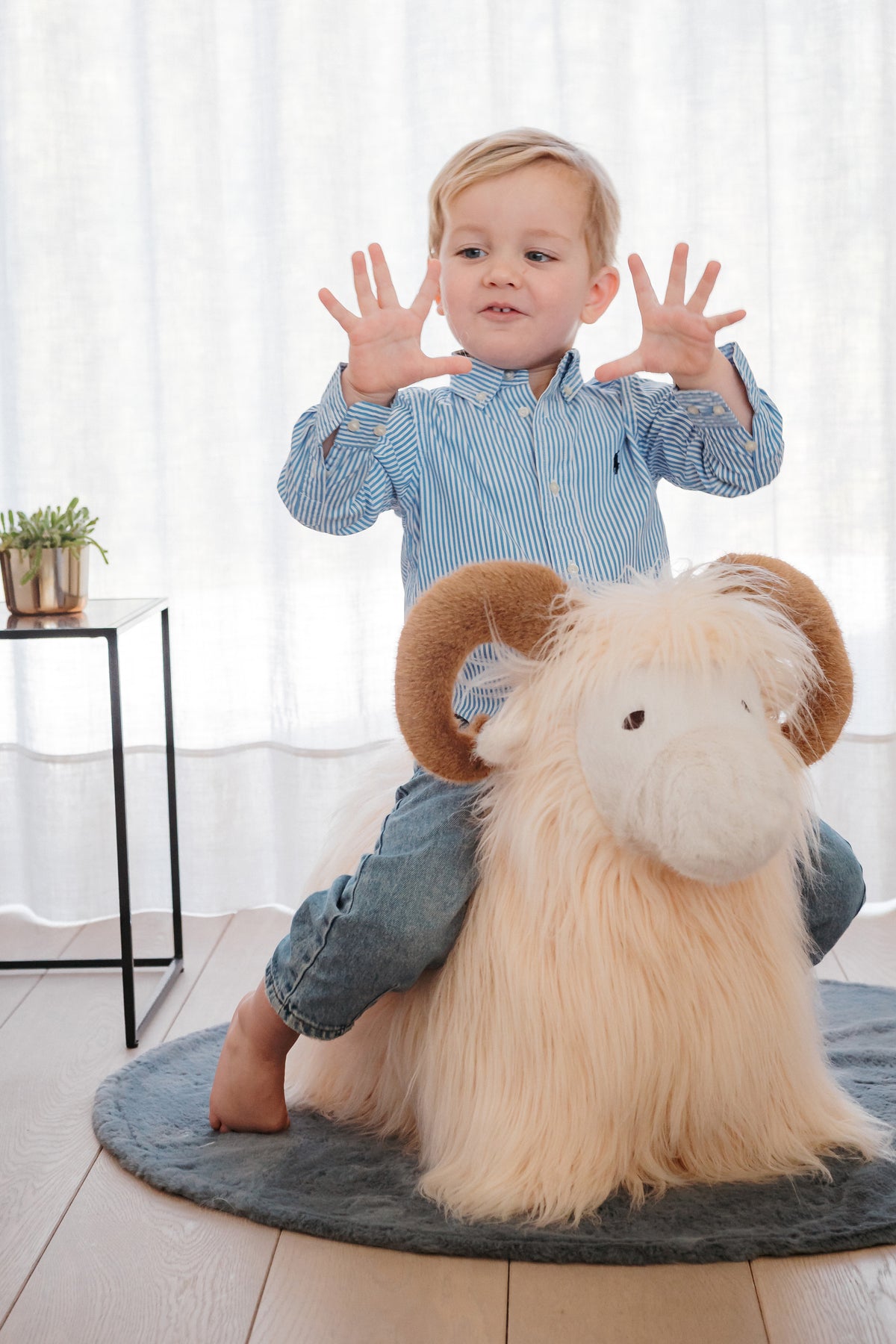 WILD & SOFT - Soft Bouncies Widder