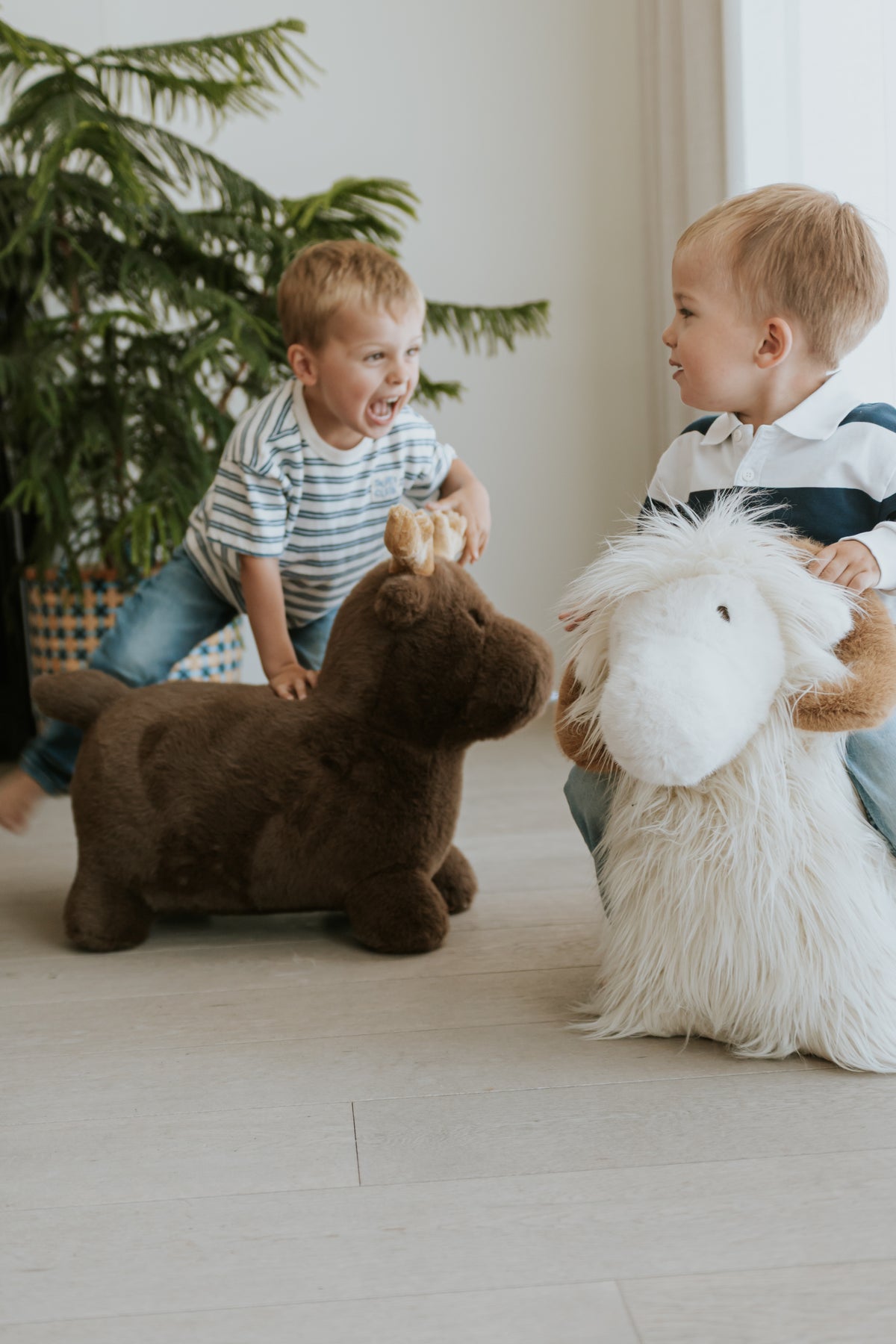 WILD & SOFT - Soft Bouncies Widder