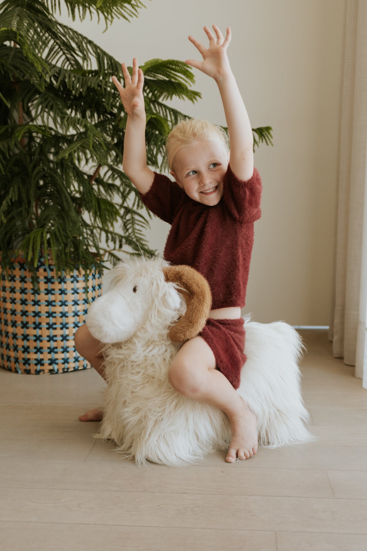 WILD & SOFT - Soft Bouncies Widder