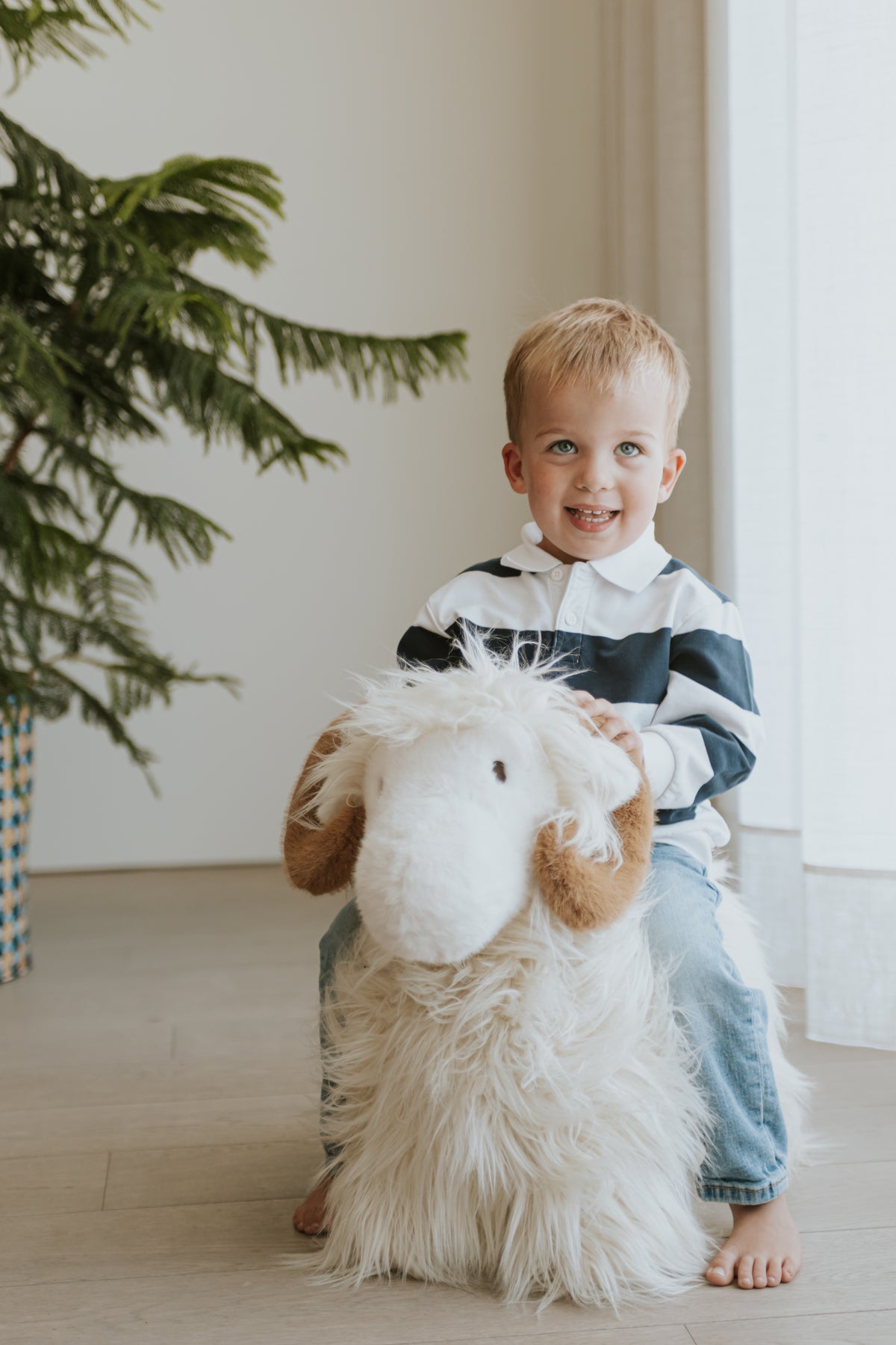 WILD & SOFT - Soft Bouncies Widder