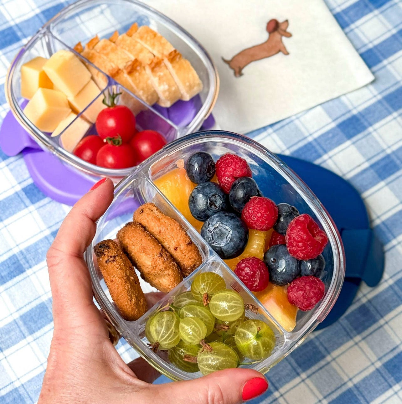 Yumbox Snack Schale, drei Fächer, durchsichtig, befüllt mit Beeren, Keksen, Stachelbeeren, Käse, Tomaten, Brot, Hand hält Dose, Picknick, Bento, Trennung.