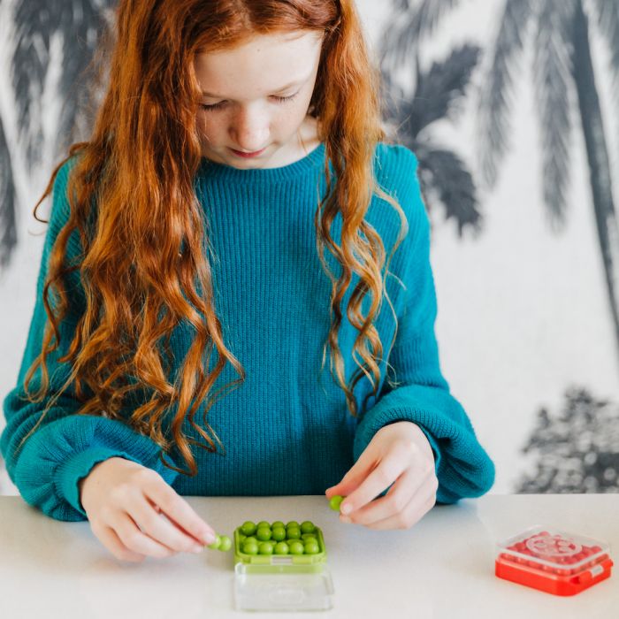 smart-games_iq-mini5