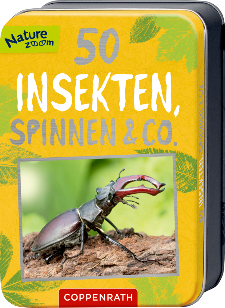 Spiegelburg - Nature Zoom: 50 Insekten, Spinnen & Co.