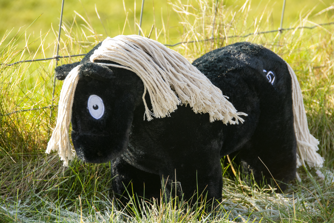 zwartwittemanen-1-Middel