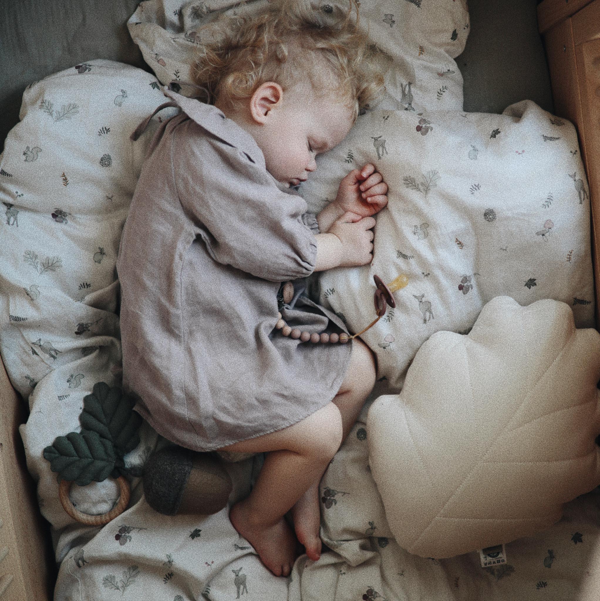 5ADDDDEF-D38F-40B2-A122-E6EB0FE4D8E3