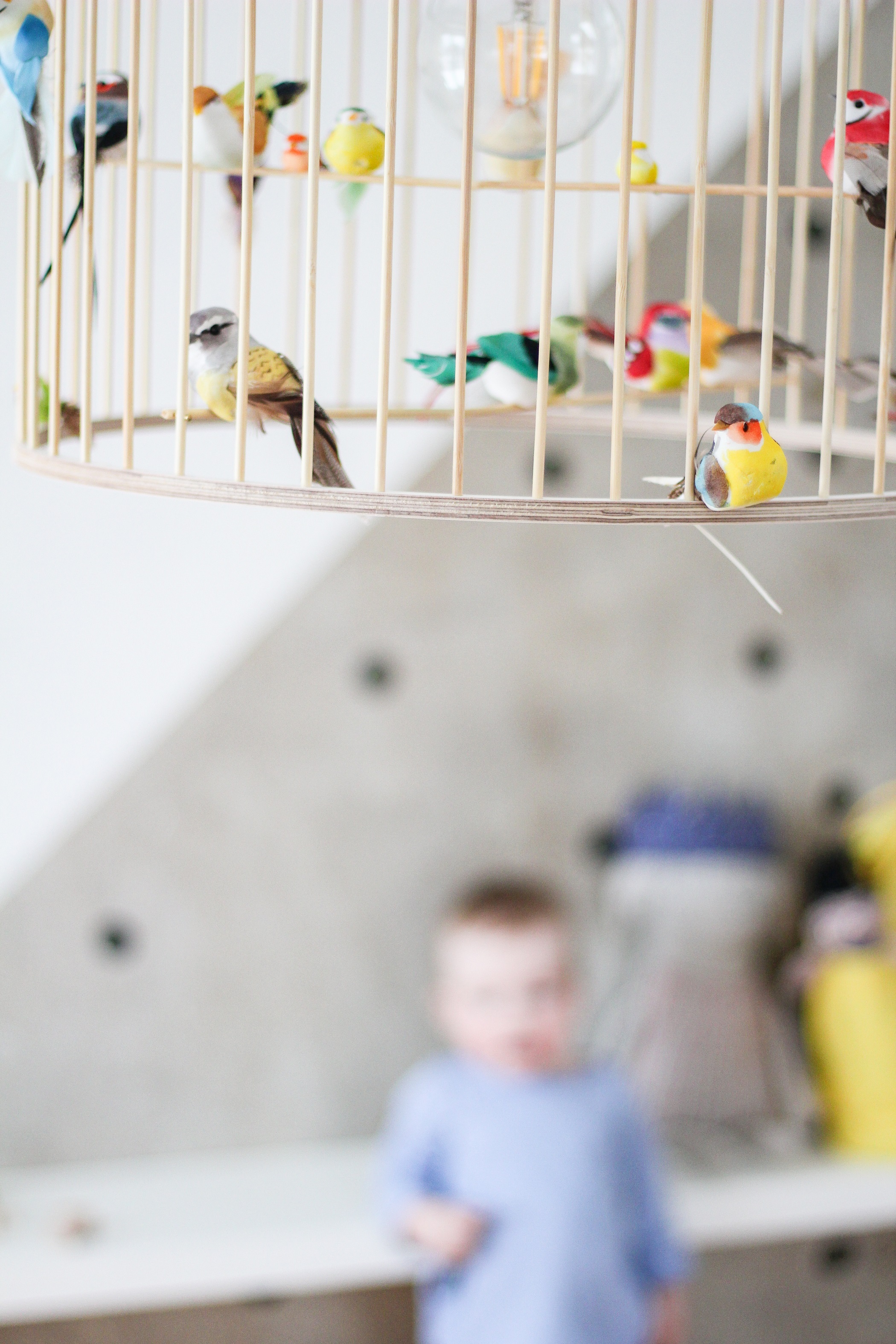 tempkekonivogelkfigholzlifestyle