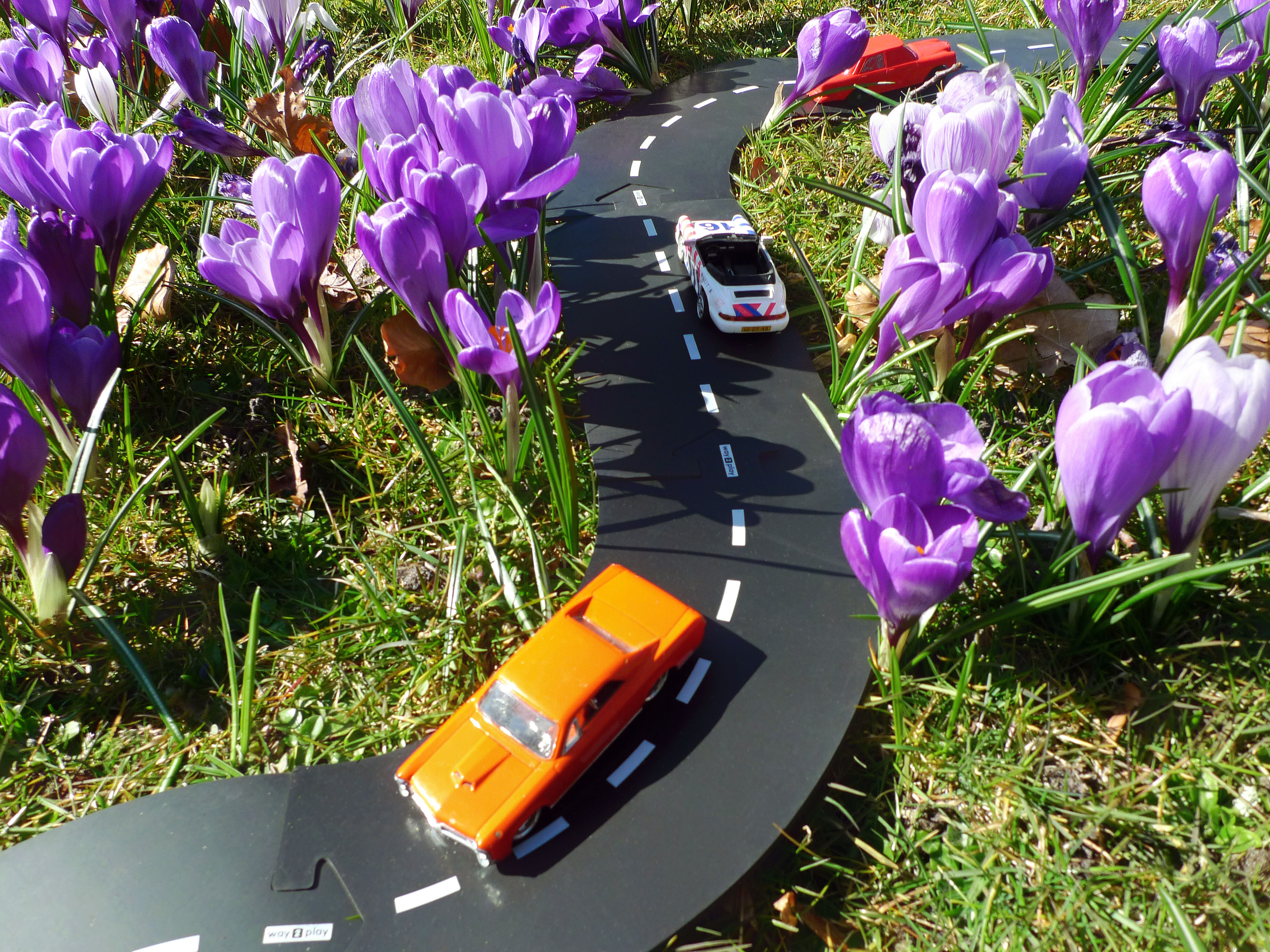 tempw2p_voorjaar_rgb