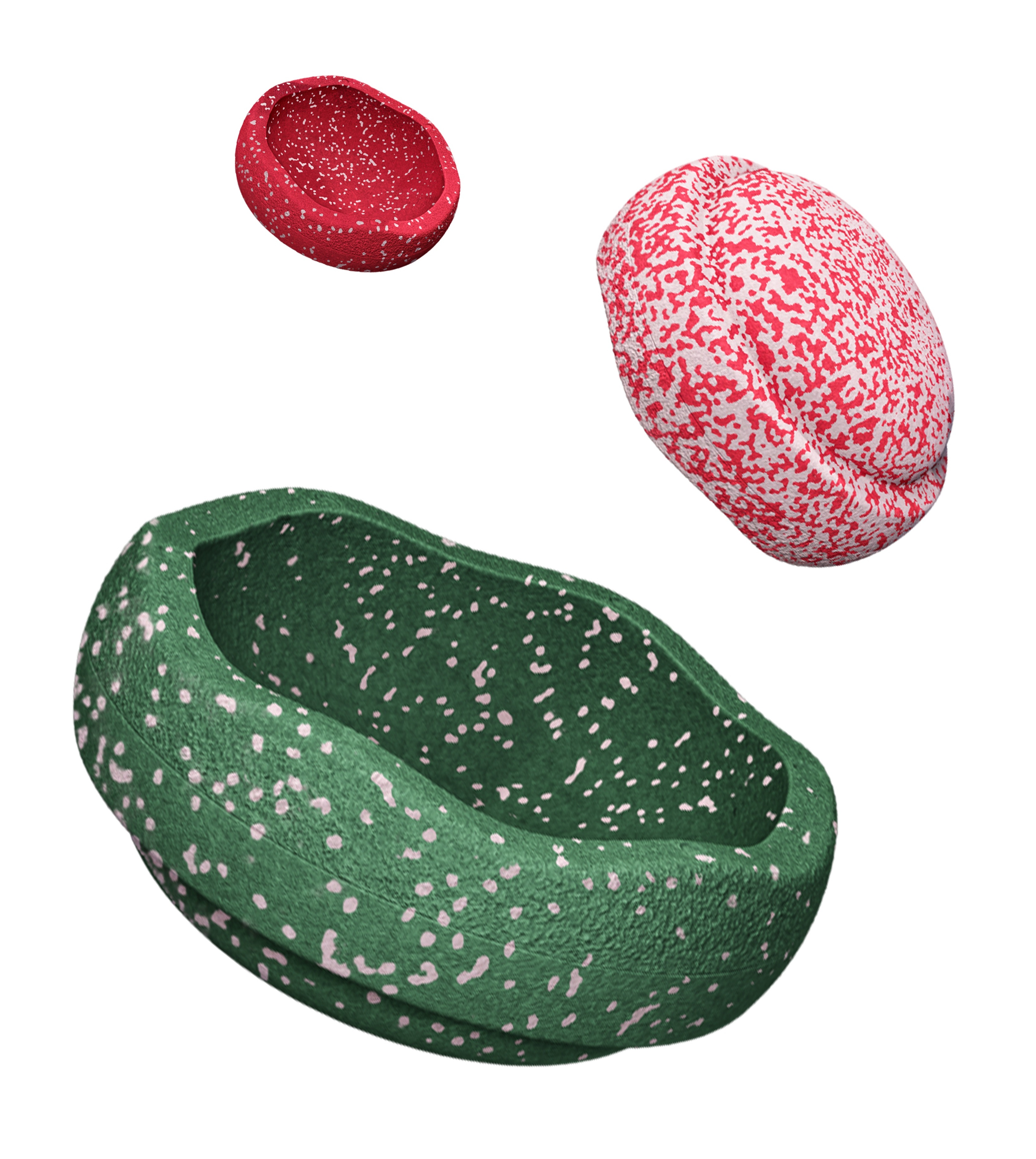 Stapelstein - Blush Special Trilogy Set