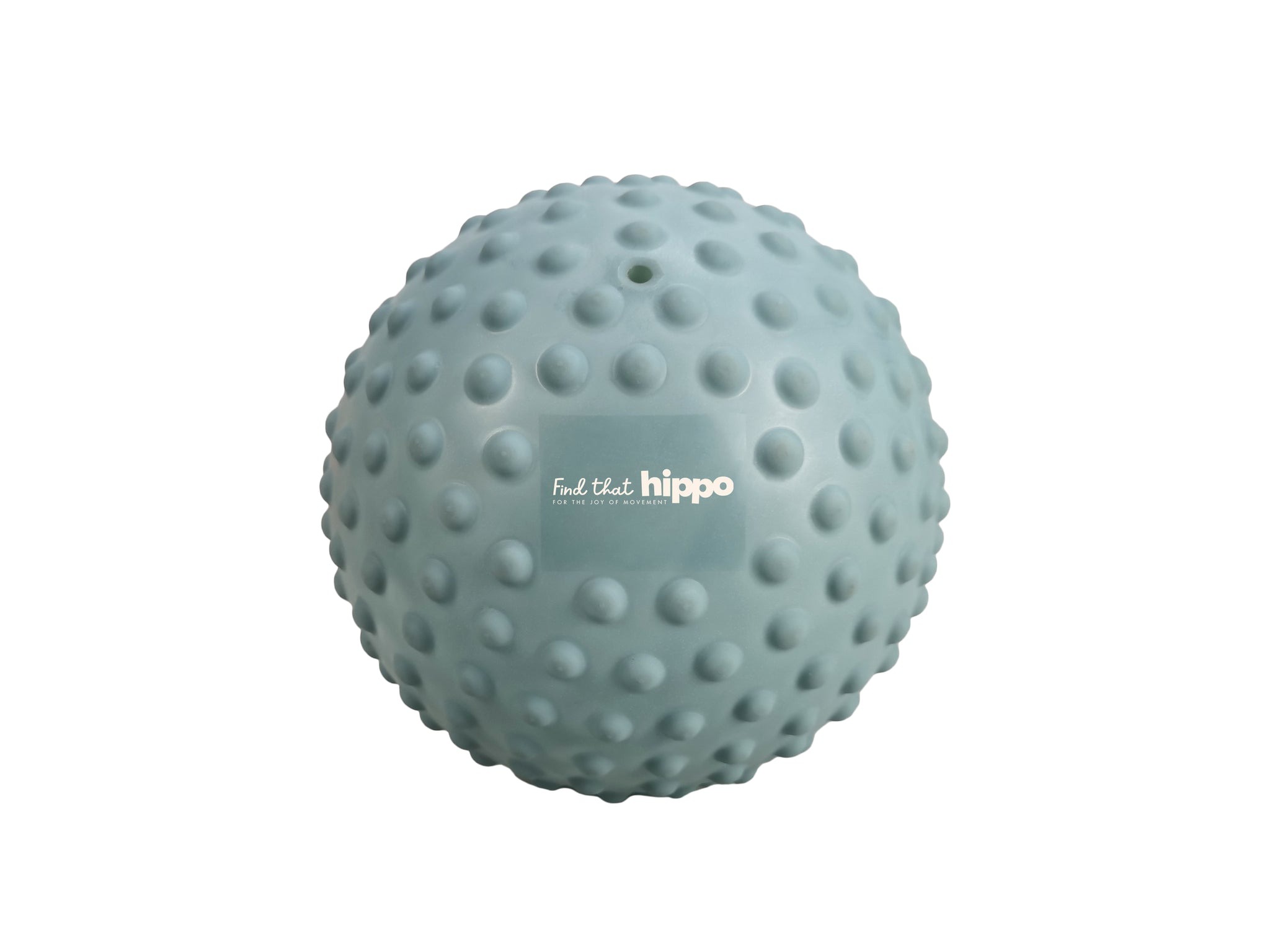 Find that hippo - Sensorikball Weldon Blue