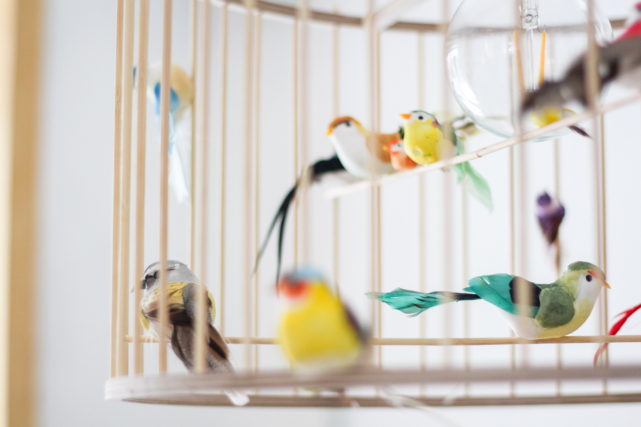 tempkekonivogelkfigholz