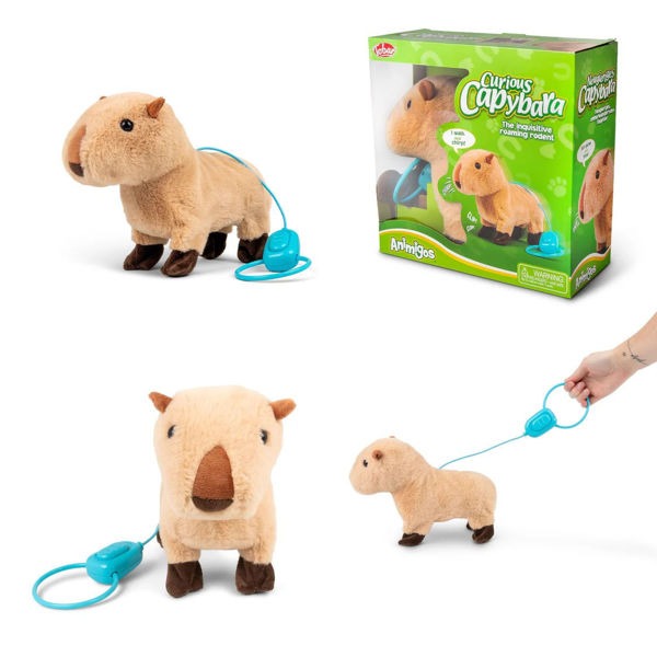 One For Fun - Neugieriges Capybara