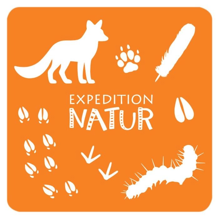 moses - Expedition Natur: Das große Tierspuren Memo