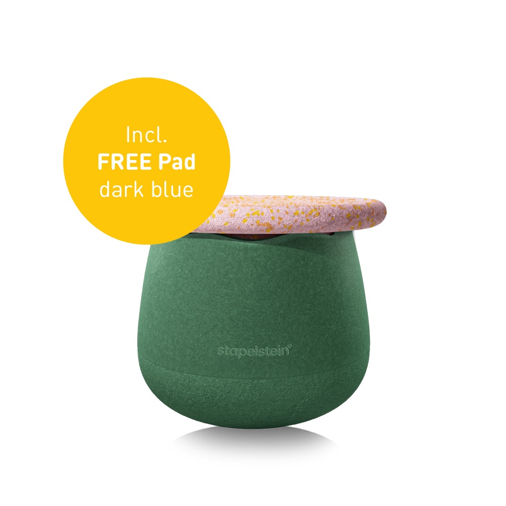 Stapelstein - Spring Special Dynamic small water lily