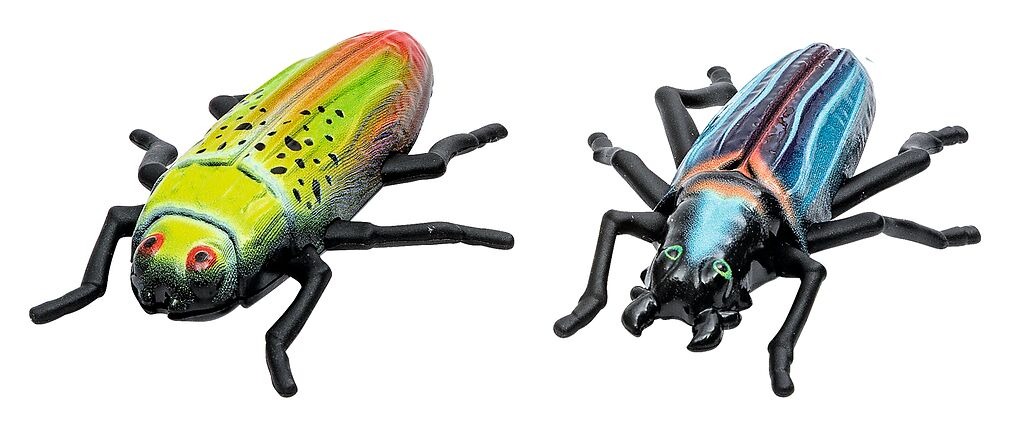 moses - Expedition Natur: Käferrennen