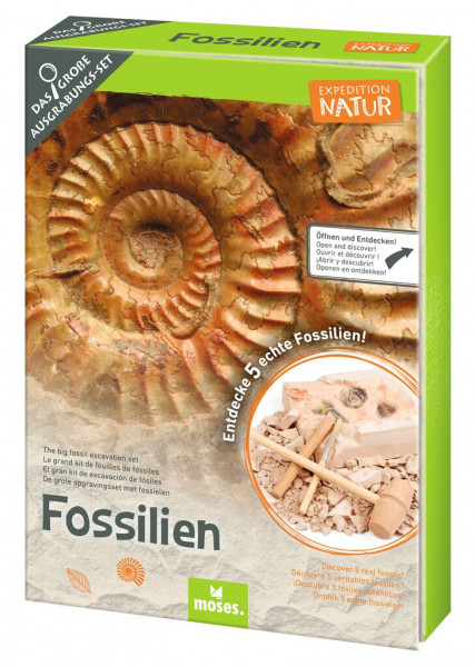 moses - Fossilien-Ausgrabungs-Set